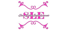 Guangzhou Hongmei Stage Lighting Co., Ltd