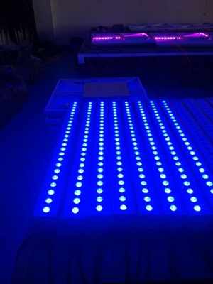 Professional 24x3W 3 in 1 IP65 Wedding Disco LED Wall Washer Light for DJ Club Bar