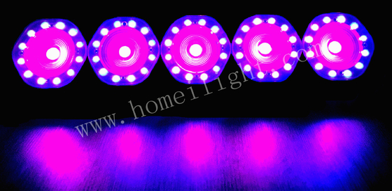 DMX Control LED 5 Eyes Chameleon Matrix LED Wallwasher RGB For Stage Party