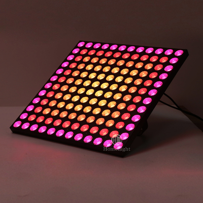 Colorful high brightness Stage lighting equipment for bar theater KTV and edge effects 12*12pcs LED Matrix backlight