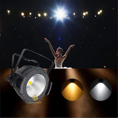100w Warm White Par Light