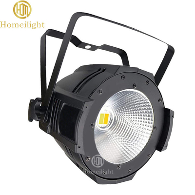 100w Warm White Par Light