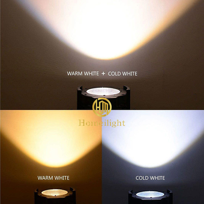 100w Warm White Par Light