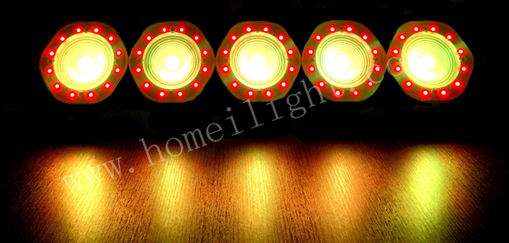Taiwan Epileds 3W 5050SMD 3in1 LED 5 Eyes Matrix Light for Wedding Cat Show Event