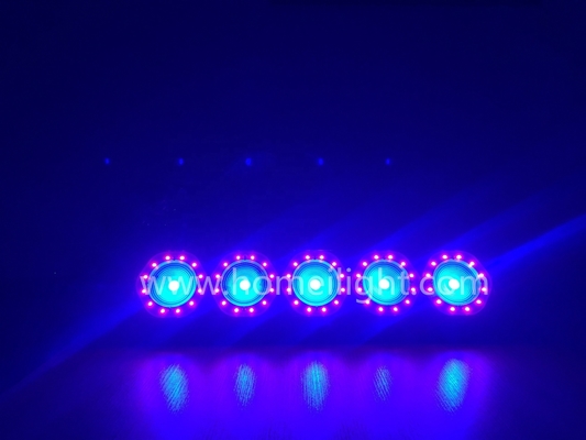 Taiwan Epileds 3W 5050SMD 3in1 LED 5 Eyes Matrix Light for Wedding Cat Show Event