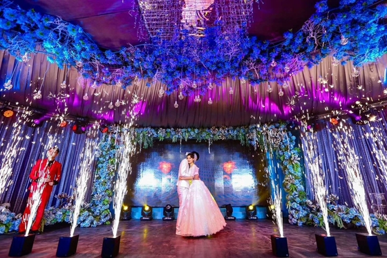 600W DMX LED Stage Lights Cold Sparkler Machine for Homei Stage Effect and Security