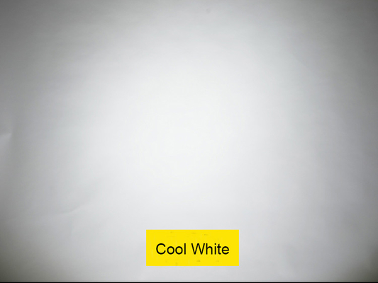Total power 4kg LED COB 2 Eyes Stage Blinder Lighting DMX 512 Warm/Cold White Effect