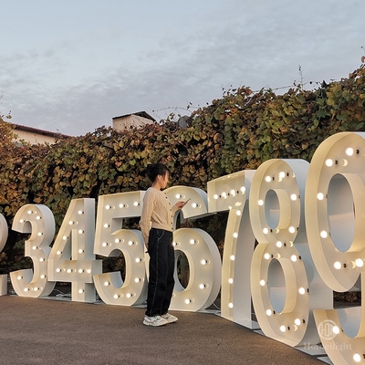 4ft Waterproof Illuminated Love Letters for Weddings Plug and Light Installation Way